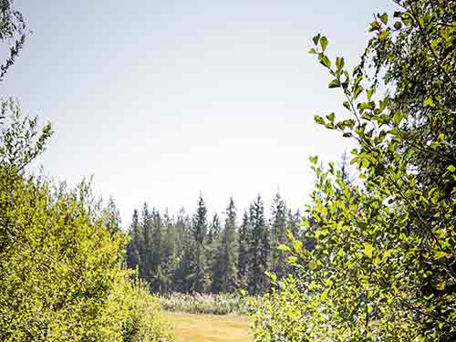 Natur
                                            und Umwelt